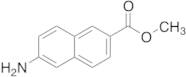 Methyl 6-Amino-2-naphthoate