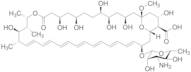 13-O-Methylamphotericin B (>85%)