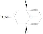 endo-9-Methyl-9-azabicyclo[3.3.1]nonan-3-amine