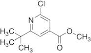Methyl 2-tert-Butyl-6-chloropyridine-4-carboxylate