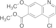 Methyl-4-Chloro-7-methoxyquinoline-6-carboxylate