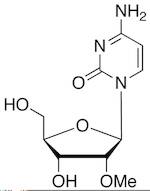 2’-O-Methyl Cytidine