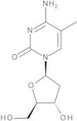 5-Methyl-2’-deoxy Cytidine