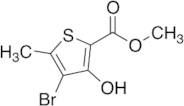Methyl 4-Bromo-3-hydroxy-5-methylthiophene-2-carboxylate