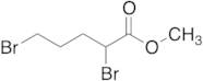 Methyl 2,5-Dibromopentanoate