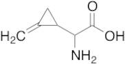 α-(Methylenecyclopropyl)glycine (Mixture of Diastereomers)