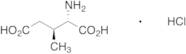 (2S,3S)-3-Methylglutamic Acid Hydrochloride Salt