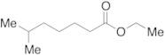 6-Methylheptanoic Acid Ethyl Ester