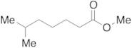 6-Methylheptanoic Acid Methyl Ester