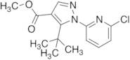 Methyl 5-tert-Butyl-1-(6-chloropyridin-2-yl)pyrazole-4-carboxylate