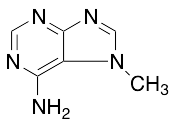 7-Methyl-7H-purin-6-amine