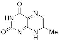 7-Methyl Lumazine