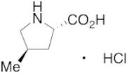 trans-4-Methyl-L-proline Hydrochloride