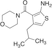 4-(2-Methylpropyl)-3-(morpholine-4-carbonyl)thiophen-2-amine