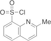 2-Methyl-8-quinoxalinesulfonyl Chloride