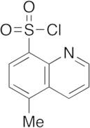 5-Methyl-8-quinoxalinesulfonyl Chloride