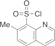 7-Methyl-8-quinoxalinesulfonyl Chloride