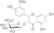 3'-O-Methyl Quercetin 3-O-β-D-Glucuronide