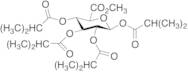 Methyl 1,2,3,4-Tetra-O-isobutyryl-b-D-glucopyranuronate