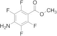 Methyl 4-Amino-2,3,5,6-tetrafluorobenzoate