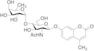4-Methylumbelliferyl 2-Acetamido-2-deoxy-4-O-(a-L-fucopyranosyl)-b-D-glucopyranoside