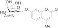 4-Methylumbelliferyl 2-Acetamido-2-deoxy--D-galactopyranoside
