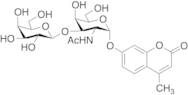 4-Methylumbelliferyl 2-Acetamido-2-deoxy-3-O-(b-D-galactopyranosyl)-a-D-galactopyranoside