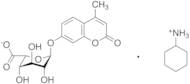 M334700 Acid Cyclohexylammonium Salt