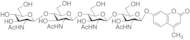 4-Methylumbelliferyl Beta-D-N,N’,N”,N’’’-Tetraacetylchitotetraoside