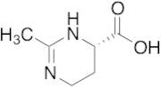 (S)-2-Methyl-1,4,5,6-tetrahydropyrimidine-4-carboxylic Acid