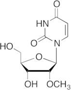2'-O-Methyl Uridine