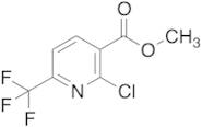 Methyl 2-Chloro-6-(trifluoromethyl)nicotinate