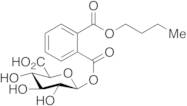 Monobutyl Phthalate Acyl-β-D-glucuronide