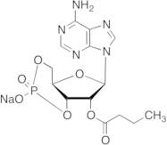 2'-O-Monobutyryladenosine-3', 5'-cyclic Monophosphate Sodium Salt