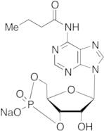 N6-Monobutyryladenosine 3':5'-Cyclic Monophosphate Sodium Salt