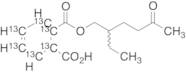 rac Mono(2-ethyl-5-oxohexyl) Phthalate-13C6