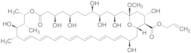 13-O-Methyl-amphoteronolide B 2-Propen-1-yl Ester