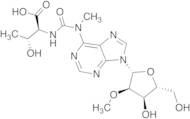 N6-Methyl-N6-threonylcarbamoyladenosine