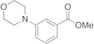 3-(4-Morpholinyl)benzoic Acid Methyl Ester