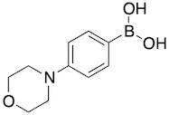 4-Morpholinophenylboronic Acid