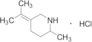 2-Methyl-5-(1-methylethylidene)-piperidine Hydrochloride