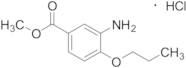 Methyl 3-Amino-4-propoxybenzoate Hydrochloride