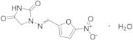 Nitrofurantoin Monohydrate