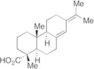 Neoabietic Acid
