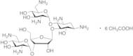 Neomycin C Hexaacetate