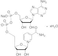 beta-Nicotinamide Adenine Dinucleotide Sodium Salt Hydrate
