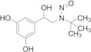 N-Nitroso Terbutaline