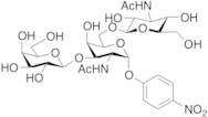 4-Nitrophenyl 2-Acetamido-6-O-(2-acetamido-2-deoxy-Beta-D-glucopyranosyl) -3-O-(Beta-D-galactopyranosyl)-2-deoxy-Alpha-D-galactopyranoside