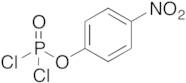 4-Nitrophenyl Phosphorodichloridate