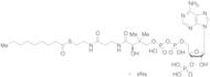 Nonanoyl Coenzyme A Sodium Salt